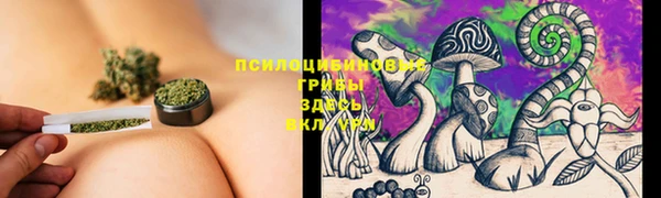соль ск Белоозёрский