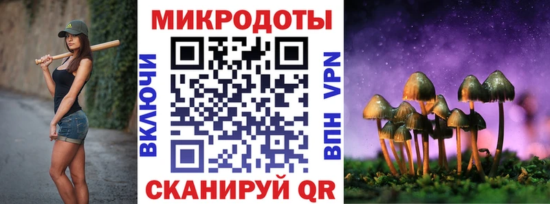 Купить где  Кондрово  Псилоцибиновые грибы Psilocybe 